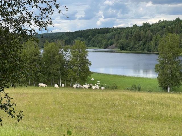 Annies Hus Villa Årjäng Exterior foto